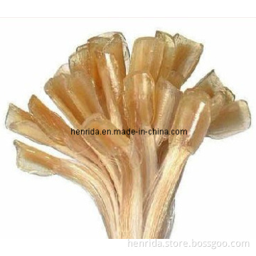 Nail Hair Extension